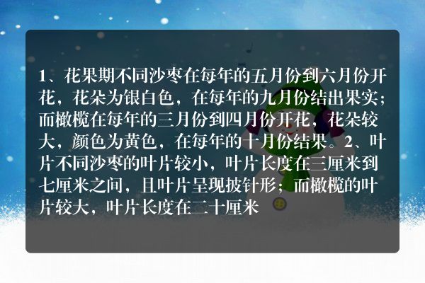 橄榄和沙枣区别
